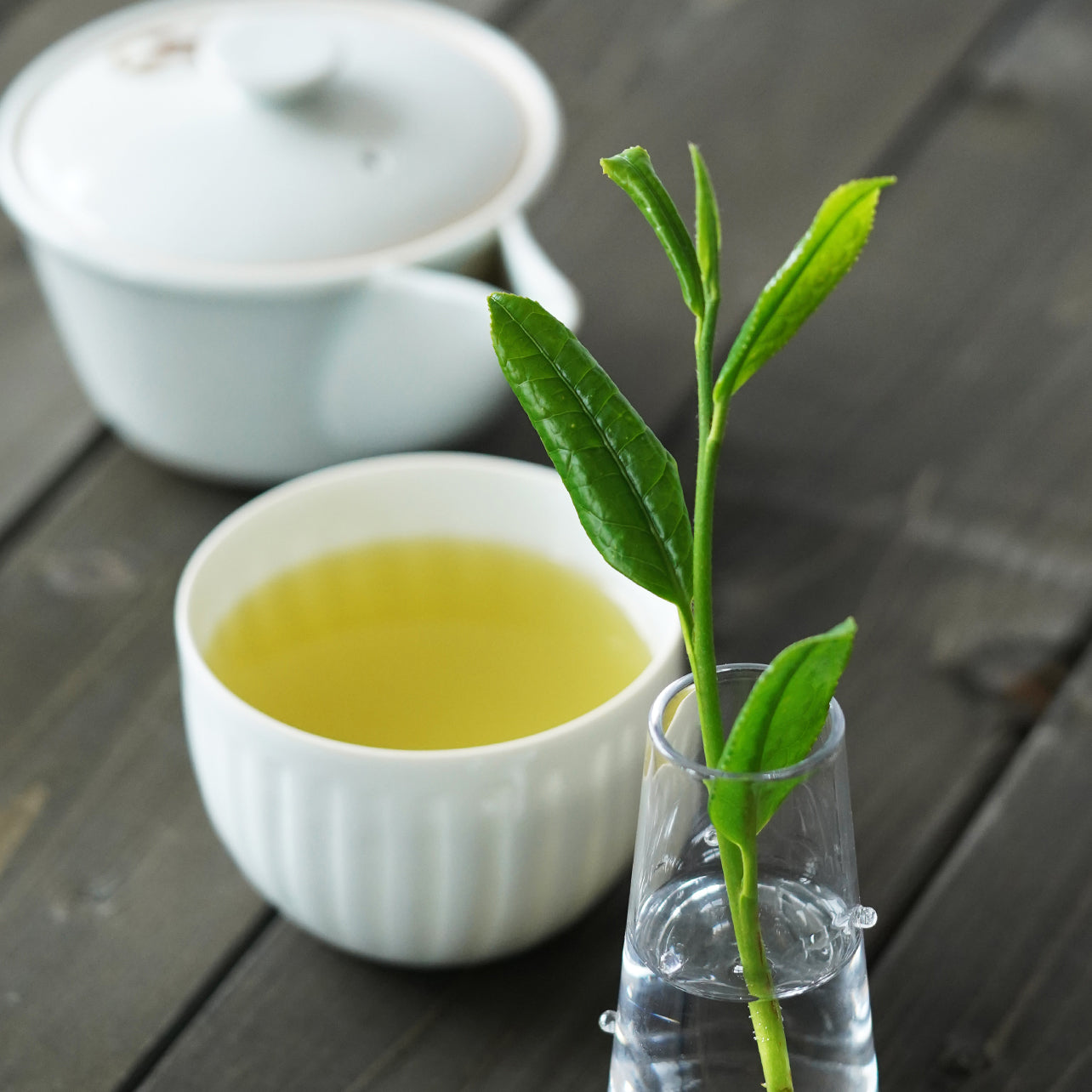 New tea [bamboo], 2 kinds of financier assortment