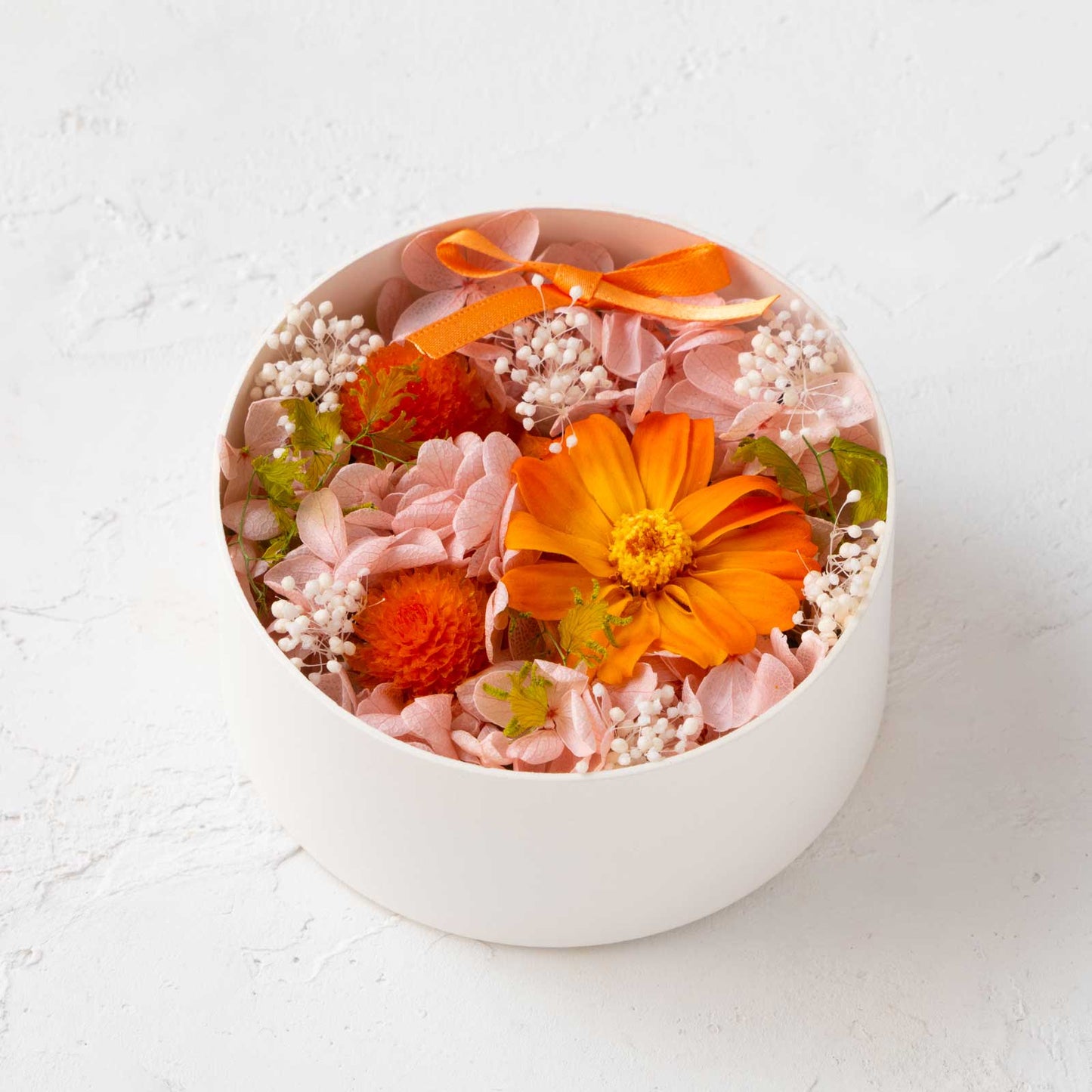 Chat yip [Preserved B]