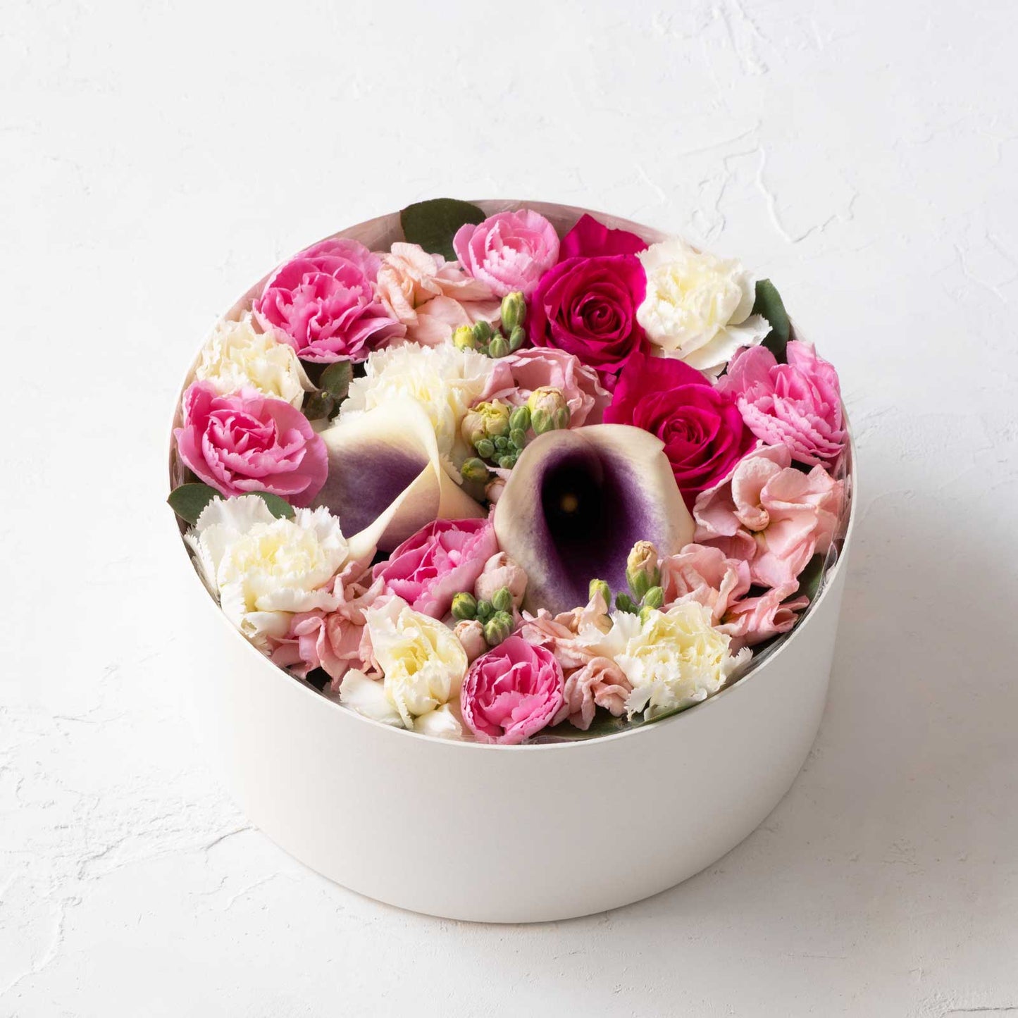 tea blossom box 2022 [blue 5/6 shipping]