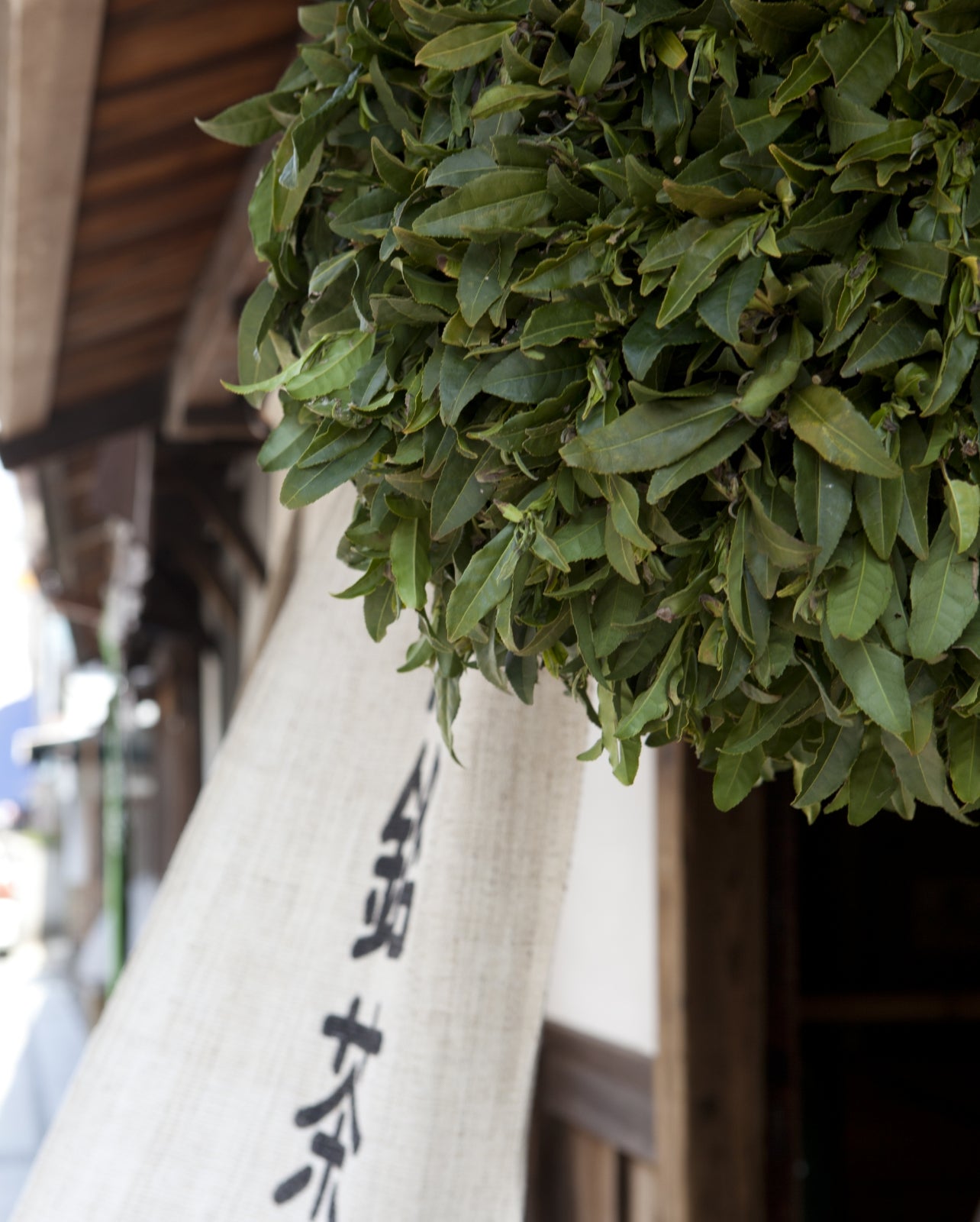 About Fujiyoshi Nakamura – 中村藤吉本店