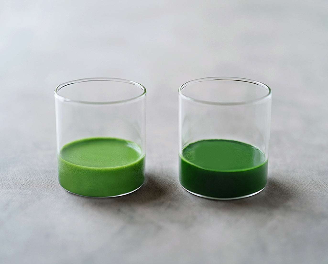 Matcha – 中村藤吉本店