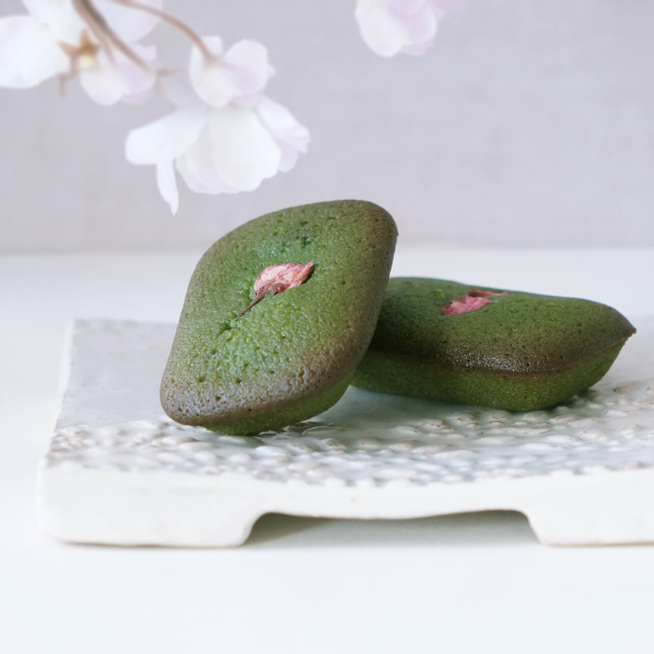 静岡牧之原産】 緑茶ティーパック「もみだし濃茶」 テトラ型