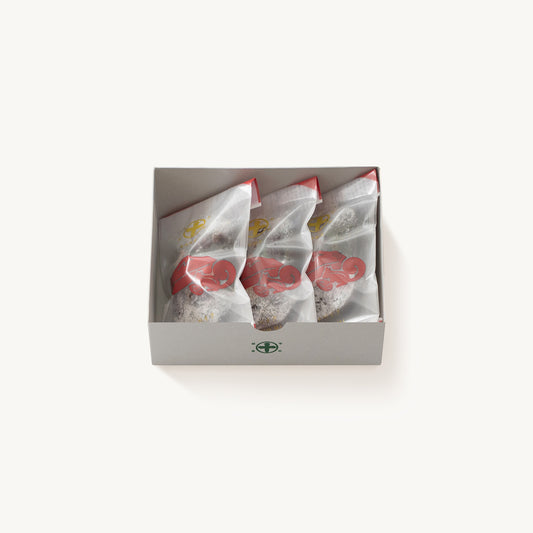 マルトベイク［抹茶］森の実／3個入